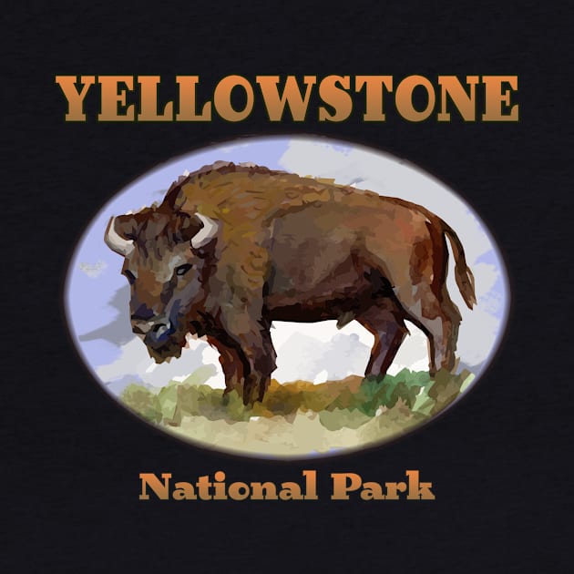 Yellowstone National Park - Bison - by jdunster